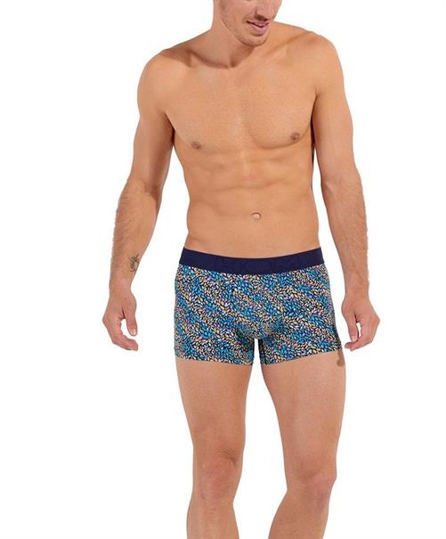 HOM Boxer Buddy