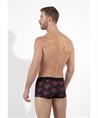 HOM Boxer Carlyle