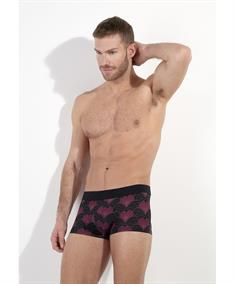 HOM Boxer Carlyle