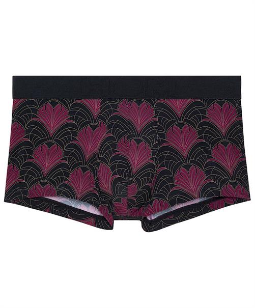HOM Boxer Carlyle
