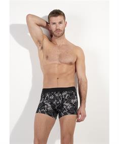 HOM Boxer Fairmont