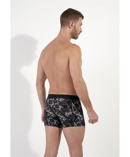 HOM Boxer Fairmont