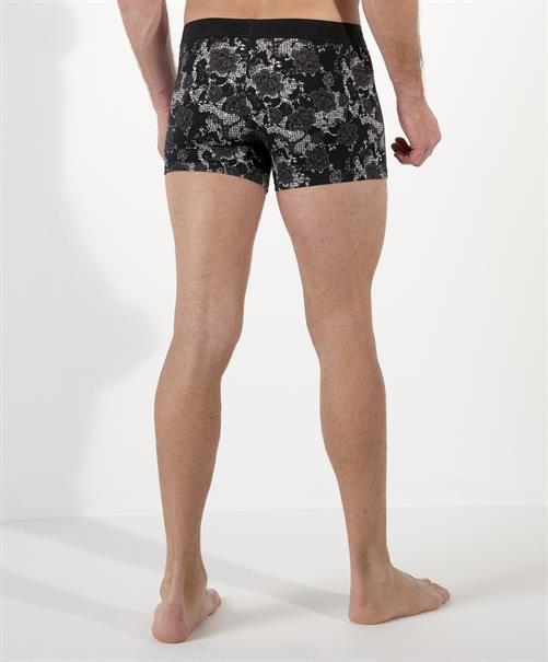 HOM Boxer Fairmont