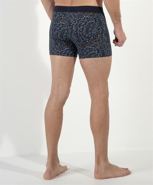 HOM Boxer Fontainebleau