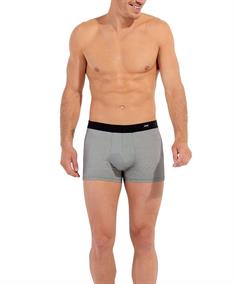 HOM Boxer Herbie