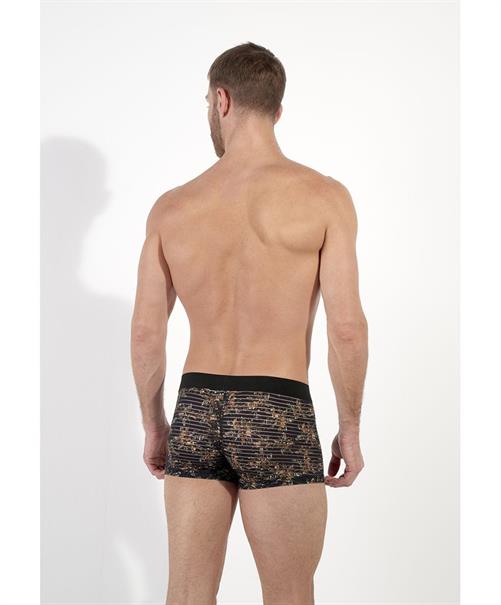 HOM Boxer Iraty