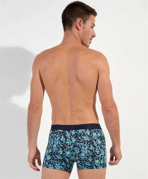HOM Boxer Santiago