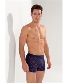 HOM Boxer Spectra