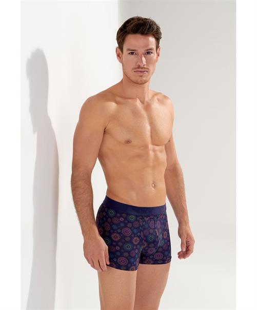 HOM Boxer Spectra