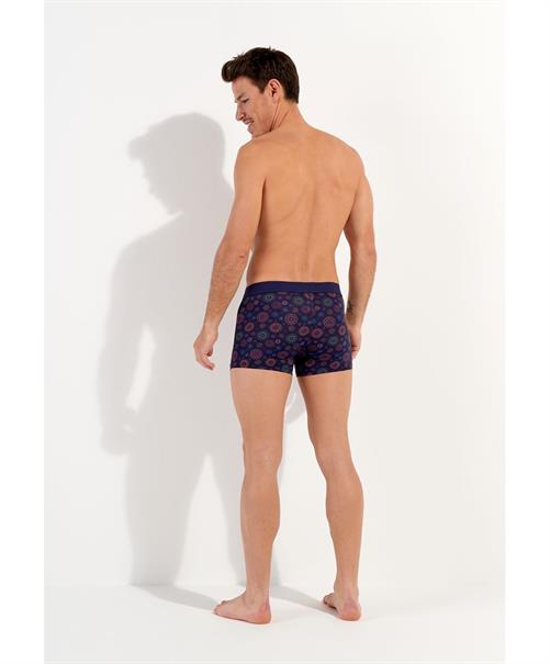 HOM Boxer Spectra