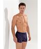 HOM Boxer Spectra