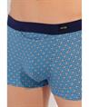 HOM Boxer Stars