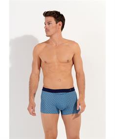HOM Boxer Stars