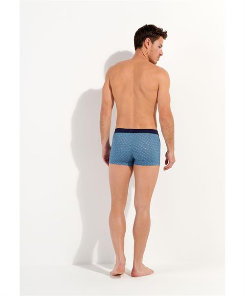 HOM Boxer Stars