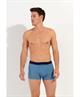 HOM Boxer Stars