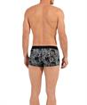 HOM Boxer Tigers