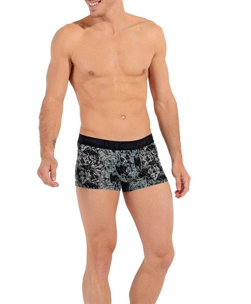 HOM Boxer Tigers