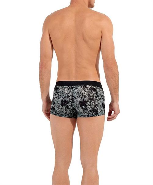 HOM Boxer Tigers