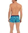 HOM Boxer Valley