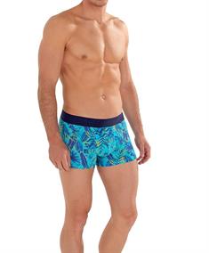 HOM Boxer Valley