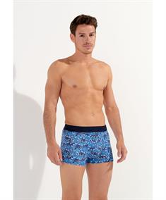 HOM Boxer Vibe