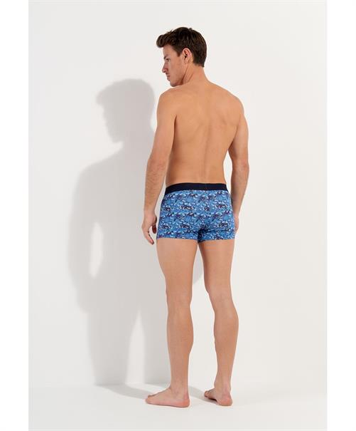 HOM Boxer Vibe