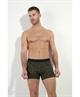 HOM Boxer Vizzavona