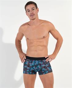 HOM Boxershort Hanoï