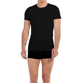 HOM T-shirt Fresh