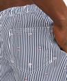 JACK & JONES Zwembroek Gestreept