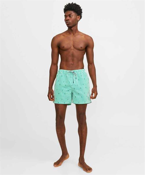 JACK & JONES Zwembroek Gestreept