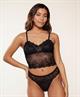 LingaDora Bralette Daily