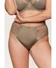 LingaDore Slip Daily