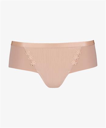 Lisca String Gracia