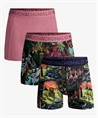 Muchachomalo Boxer Ancient Civilizations 3-Pack