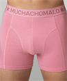Muchachomalo Boxer Ancient Civilizations 3-Pack