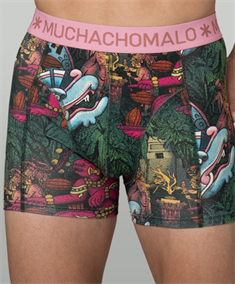 Muchachomalo Boxer Ancient Civilizations 3-Pack