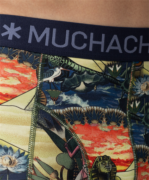 Muchachomalo Boxer Ancient Civilizations 3-Pack