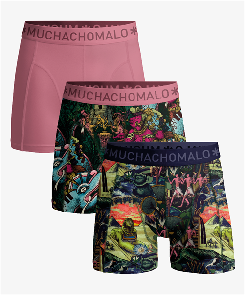 Muchachomalo Boxer Ancient Civilizations 3-Pack