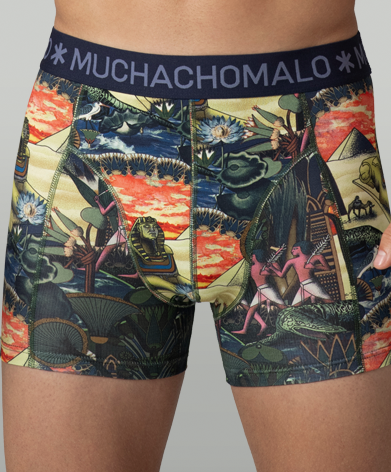 Muchachomalo Boxer Ancient Civilizations 3-Pack