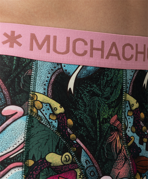 Muchachomalo Boxer Ancient Civilizations 3-Pack