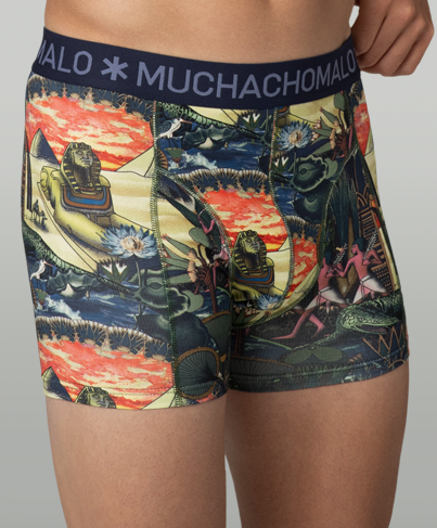Muchachomalo Boxer Ancient Civilizations 3-Pack