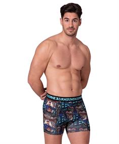 Muchachomalo Boxer Captain Donkey 2-Pack