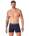 Muchachomalo Boxer Circle Of Life 3-Pack