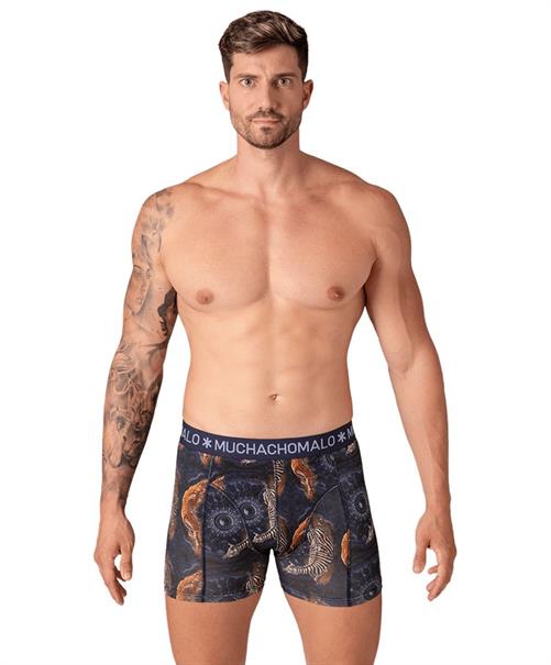 Muchachomalo Boxer Circle Of Life 3-Pack