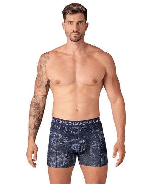 Muchachomalo Boxer Circle Of Life 3-Pack