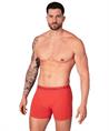 Muchachomalo Boxer Golden 12-Pack