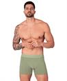 Muchachomalo Boxer Golden 12-Pack
