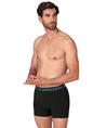Muchachomalo Boxer Golden 12-Pack