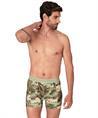 Muchachomalo Boxer Golden 12-Pack